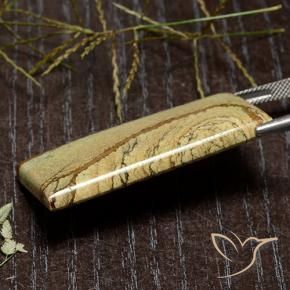 Diaspro Multicolore naturale da 45.53 ct, Taglio a baguette, Opaco