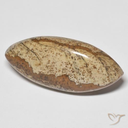 Diaspro Multicolore naturale da 29.48 ct, Taglio marquise, Opaco