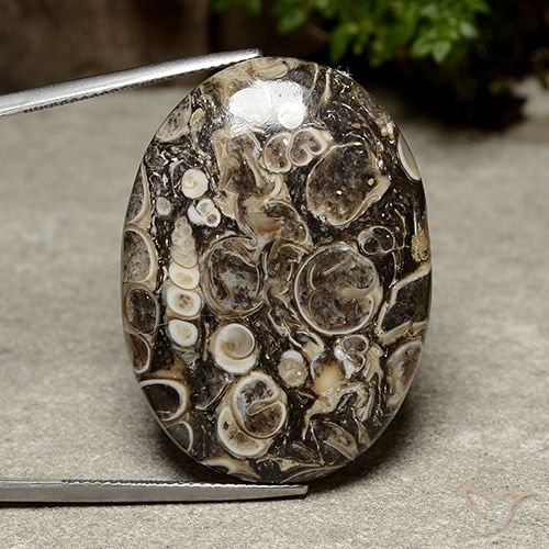 Diaspro Multicolore naturale da 39.98 ct, Ovale, Opaco