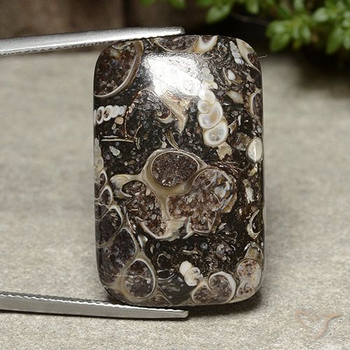 32.91ct Naturale Multicolore Diaspro, Cuscino, Opaco