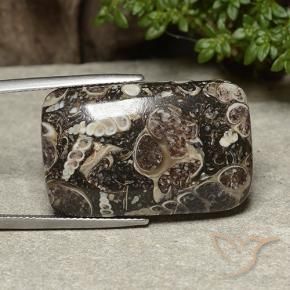 Diaspro Multicolore naturale da 32.91 ct, Cuscino, Opaco