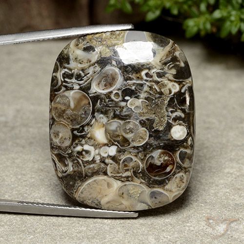 38.76ct Naturale Multicolore Diaspro, Cuscino, Opaco