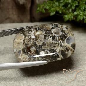 Diaspro Multicolore naturale da 38.76 ct, Cuscino, Opaco