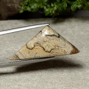 Diaspro naturale multicolore da 15,95 ct, trillion, opaco