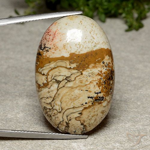 Diaspro Multicolore naturale da 38.46 ct, Ovale, Opaco