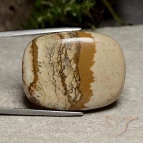 Diaspro Multicolore naturale da 47.11 ct, Cuscino, Opaco