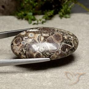 Diaspro Multicolore naturale da 39.13 ct, Ovale, Opaco