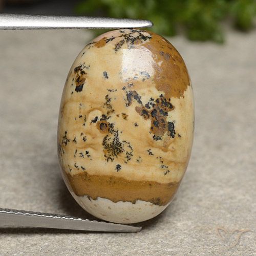 14.50ct Naturale Multicolore Diaspro, Ovale, Opaco