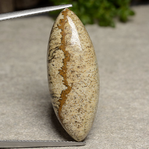 Diaspro naturale multicolore da 17,23 ct, marchesa, opaco