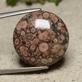 Diaspro naturale multicolore da 16,37 ct, taglio rotondo, opaco