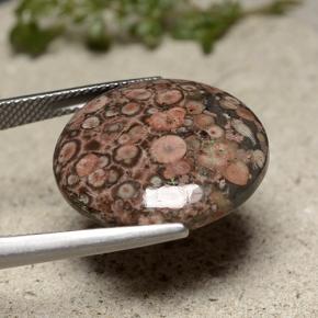 Diaspro naturale multicolore da 16,37 ct, taglio rotondo, opaco