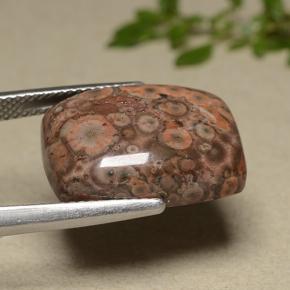 Diaspro naturale multicolore da 11,81 ct, taglio a cuscino, opaco