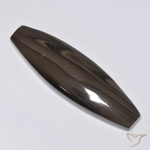 Diaspro Marrone scuro naturale da 22.16 ct, Taglio a fantasia, Opaco