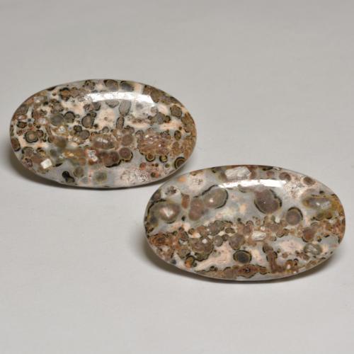 Gemme di Diaspro Multicolore naturale da 24.09 ct, Taglio ovale, Opaco