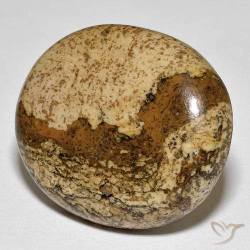 Diaspro Multicolore naturale da 32.88 ct, Ovale, Opaco
