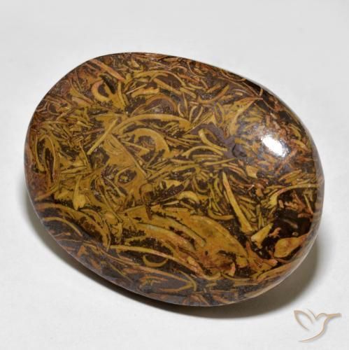 62.43ct Naturale Multicolore Diaspro, Ovale, Opaco