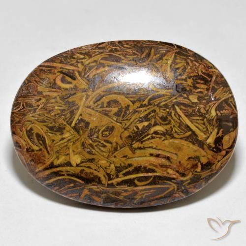 Diaspro Multicolore naturale da 62.43 ct, Ovale, Opaco