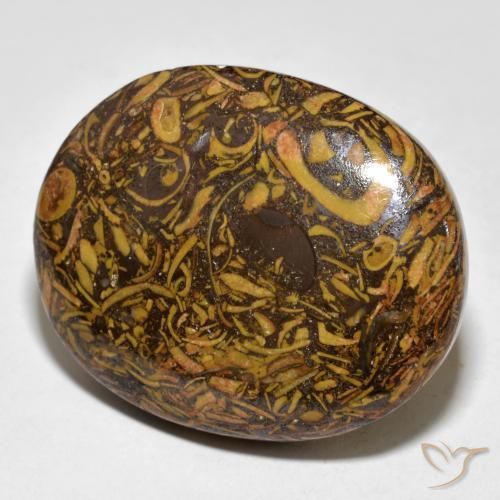 61.03ct Naturale Pan di zenzero marrone Diaspro, Ovale, Opaco