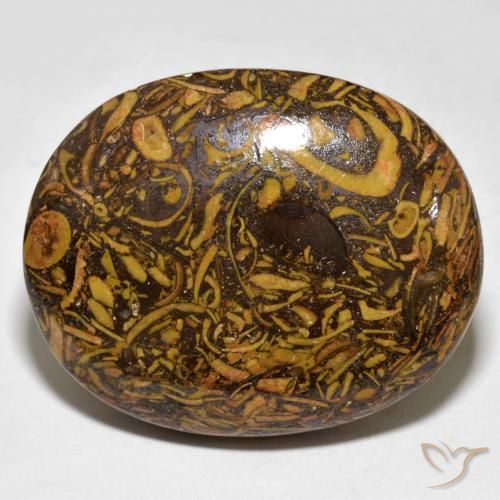 Diaspro Pan di zenzero marrone naturale da 61.03 ct, Ovale, Opaco