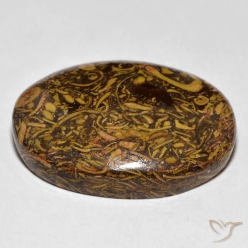 Diaspro Pan di zenzero marrone naturale da 61.03 ct, Ovale, Opaco