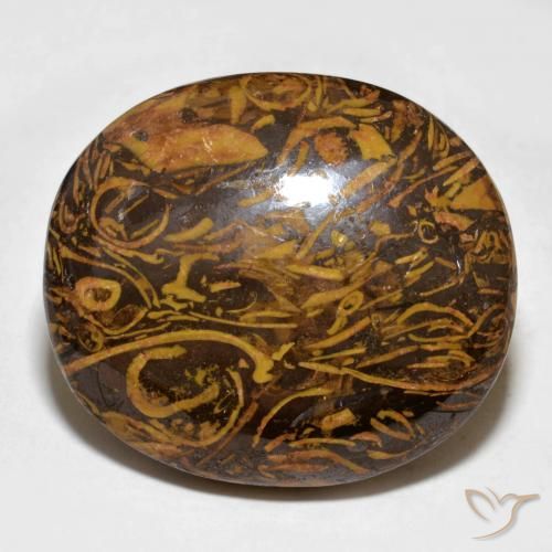 57.64ct Naturale Marrone medio-scuro Diaspro, Ovale, Opaco