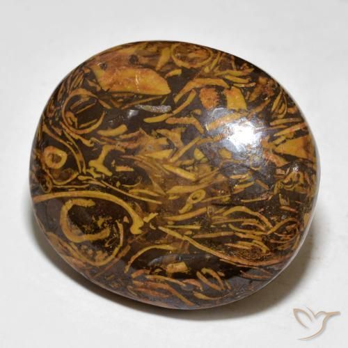 Diaspro Marrone medio-scuro naturale da 57.64 ct, Ovale, Opaco