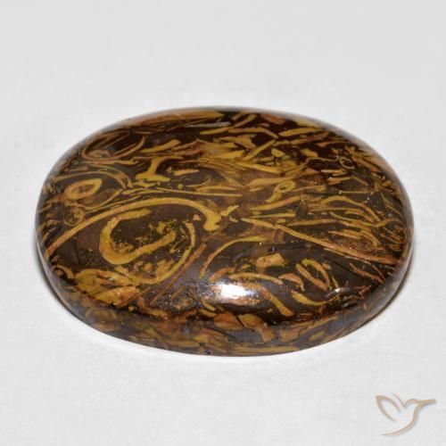 Diaspro Marrone medio-scuro naturale da 57.64 ct, Ovale, Opaco