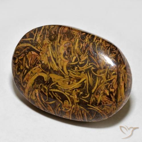Diaspro Marrone dorato naturale da 59.94 ct, Ovale, Opaco