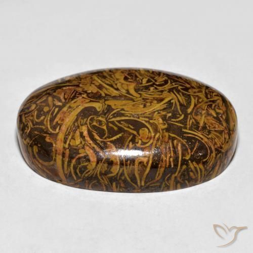 Diaspro Marrone dorato naturale da 59.94 ct, Ovale, Opaco