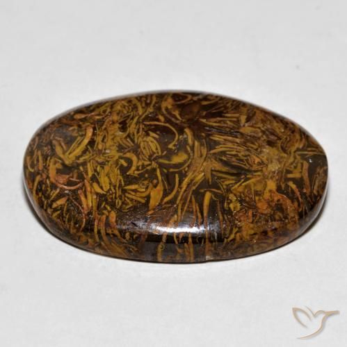 Diaspro Marrone dorato naturale da 63.72 ct, Ovale, Opaco