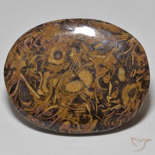 58.13ct Naturale Multicolore Diaspro, Ovale, Opaco