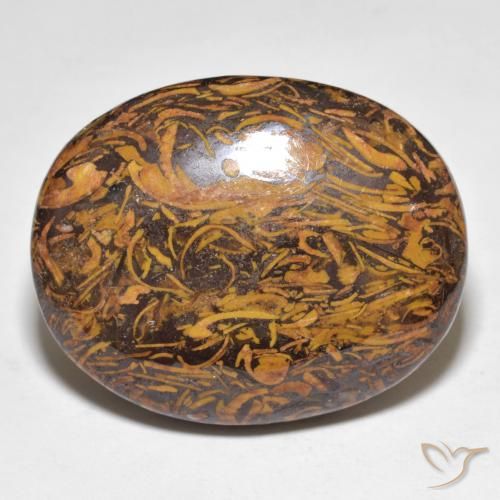 48.67ct Naturale Multicolore Diaspro, Ovale, Opaco