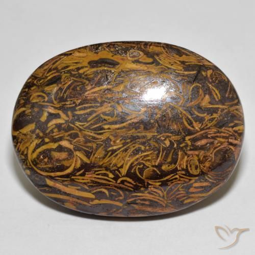76.80ct Naturale Multicolore Diaspro, Ovale, Opaco