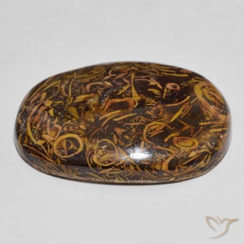 Diaspro Multicolore naturale da 61.30 ct, Ovale, Opaco