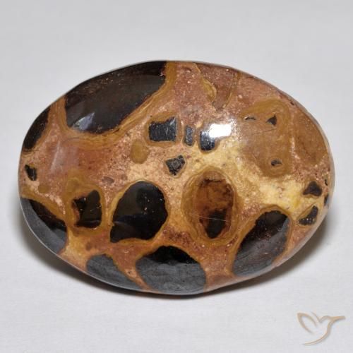 17.02ct Naturale Multicolore Diaspro, Ovale, Opaco