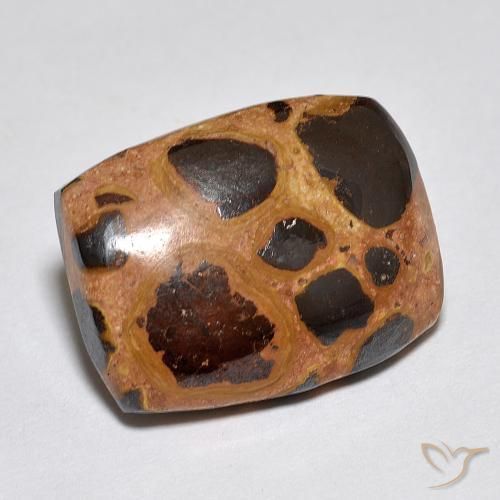 Diaspro Multicolore naturale da 9.85 ct, Cuscino, Opaco