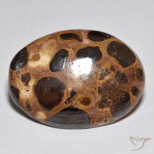 15.52ct Naturale Multicolore Diaspro, Ovale, Opaco