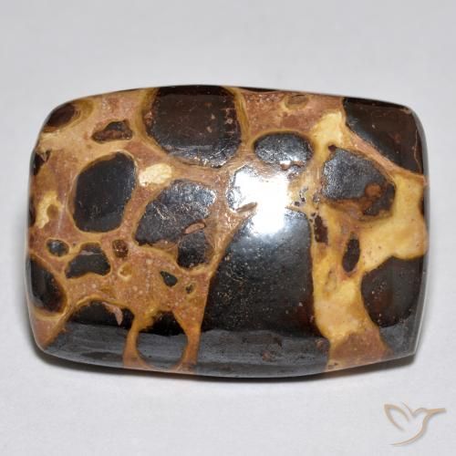 21.42ct Naturale Multicolore Diaspro, Cuscino, Opaco