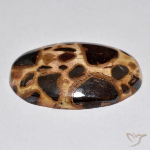 Diaspro Multicolore naturale da 17.21 ct, Ovale, Opaco