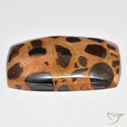 Diaspro Multicolore naturale da 19.75 ct, Cuscino, Opaco
