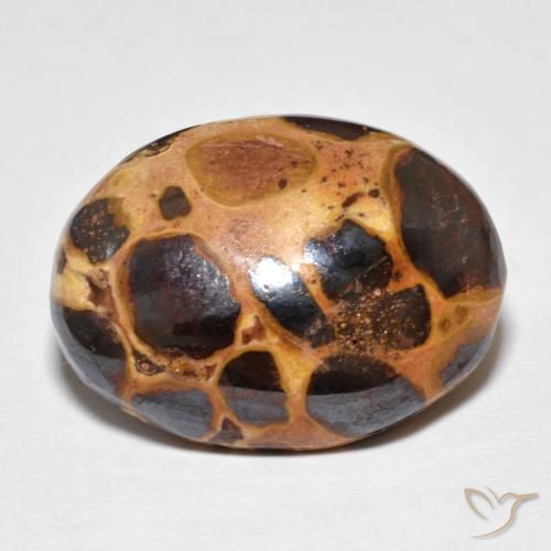 14.82ct Naturale Multicolore Diaspro, Ovale, Opaco