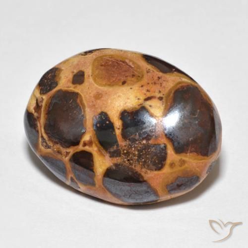 Diaspro Multicolore naturale da 14.82 ct, Ovale, Opaco