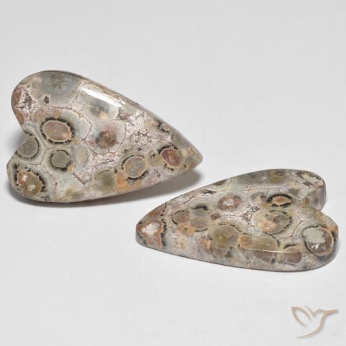 Gemme di Diaspro Multicolore naturale da 16.26 ct, Cuore, Opaco