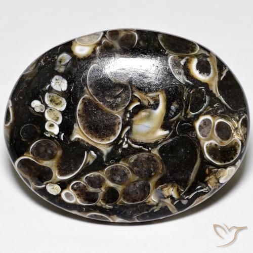 Diaspro Multicolore naturale da 44.38 ct, Ovale, Opaco