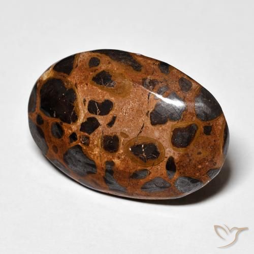 Diaspro Multicolore naturale da 21.84 ct, Ovale, Opaco