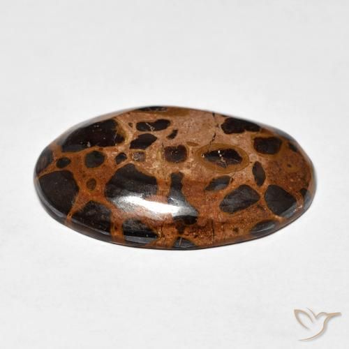 Diaspro Multicolore naturale da 21.84 ct, Ovale, Opaco