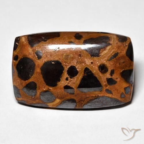 25.23ct Naturale Multicolore Diaspro, Cuscino, Opaco