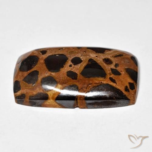 Diaspro Multicolore naturale da 25.23 ct, Cuscino, Opaco