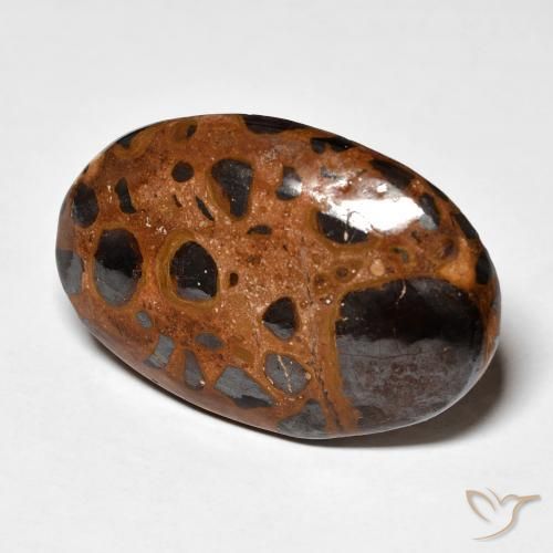 Diaspro Multicolore naturale da 21.98 ct, Ovale, Opaco