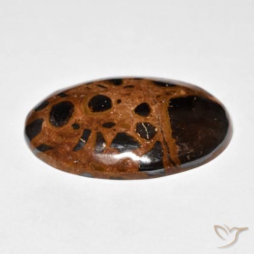 Diaspro Multicolore naturale da 21.98 ct, Ovale, Opaco